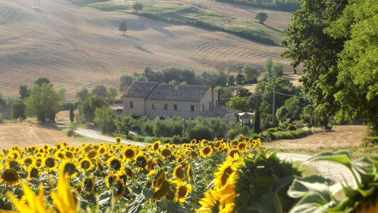 "La Casa Degli Ulivi Art B&B" Trecastelli Dış mekan fotoğraf