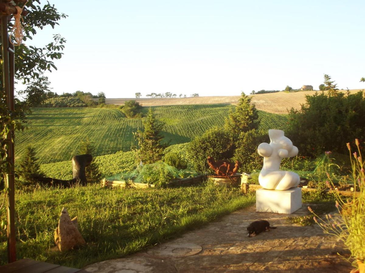 "La Casa Degli Ulivi Art B&B" Trecastelli Dış mekan fotoğraf