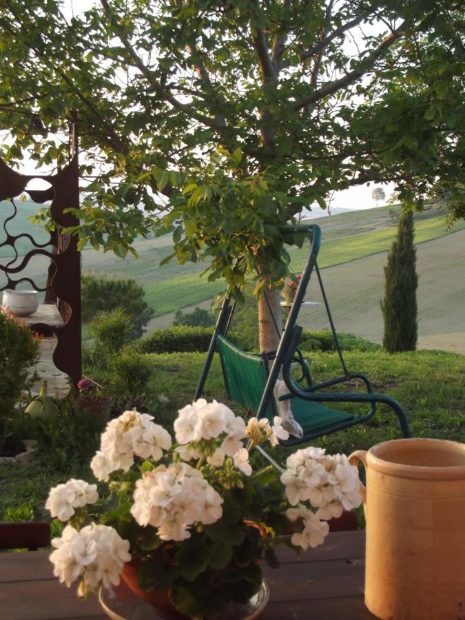 "La Casa Degli Ulivi Art B&B" Trecastelli Dış mekan fotoğraf