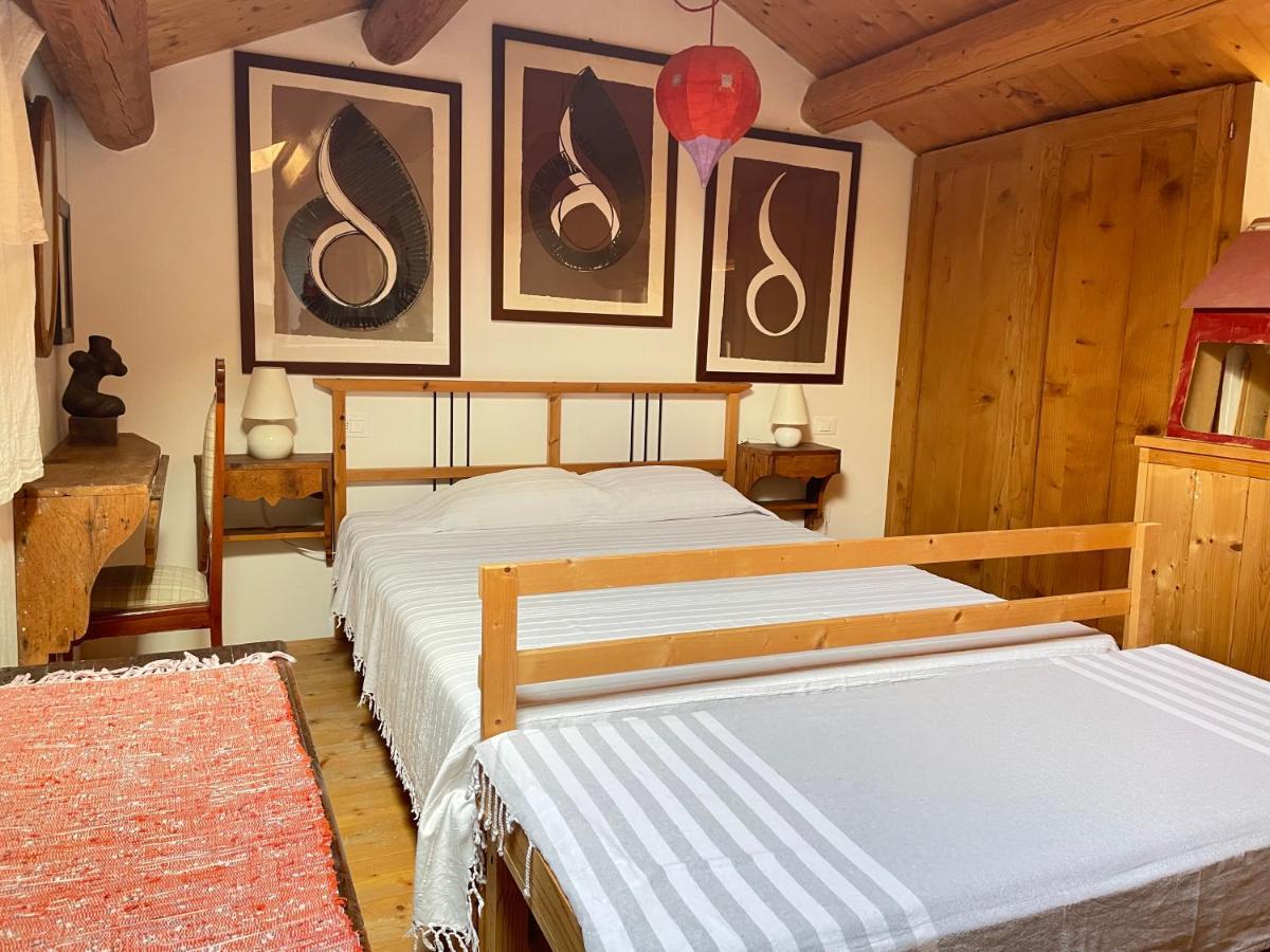 "La Casa Degli Ulivi Art B&B" Trecastelli Dış mekan fotoğraf